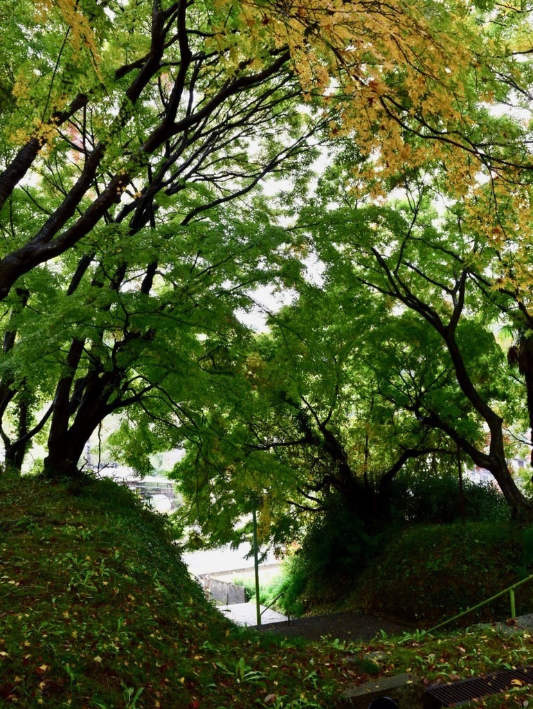 持ち寄り梅酒で、秋の里山の味覚体験♪